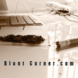bluntcornerlogo
