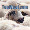 topwool.com