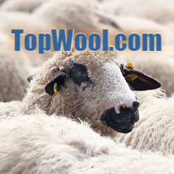 topwoollogo