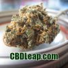 CBDLeap.com