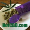 HotCBD.com