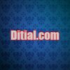 Ditial.com