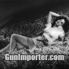 GunImporter.com