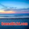 Cannabis2d.com