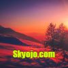 Skyojo.com