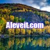 Aleveit.com
