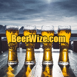 Domain Name Beerwize.com