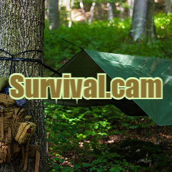Domain Name Survival.cam is for Sale