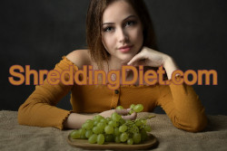 ShreddingDiet.com for Sale