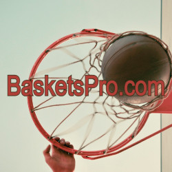 BasketsPro.com is for Sale