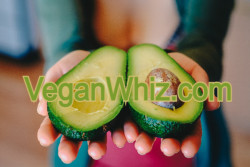 Domain Name VeganWhiz.com