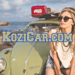Domain Name KoziCar