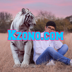 Domain Name Kzono.com